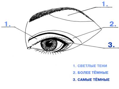 Схема трёх составляющих макияжа глаз